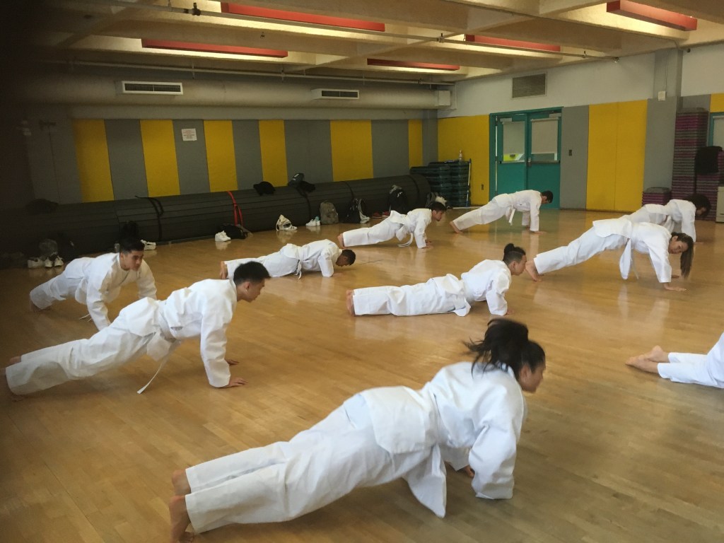 This image has an empty alt attribute; its file name is img_5337.jpg